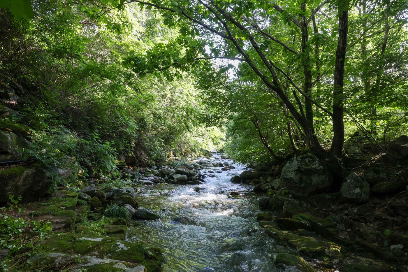 4875a3dfa644972b18fc2a443473685d_1659947243_0216.jpg