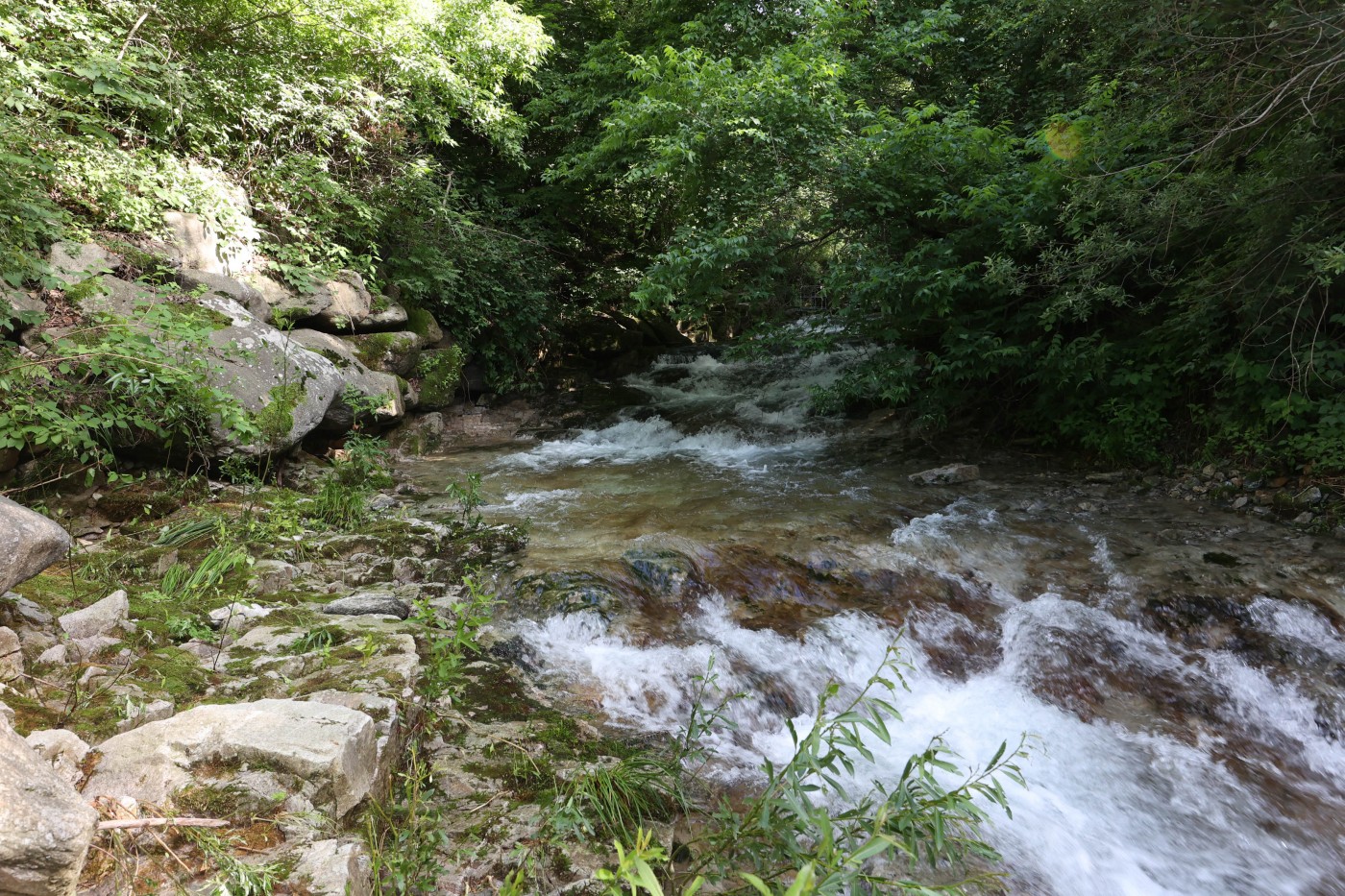 4875a3dfa644972b18fc2a443473685d_1659947259_5605.jpg